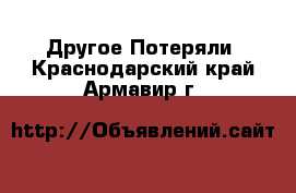 Другое Потеряли. Краснодарский край,Армавир г.